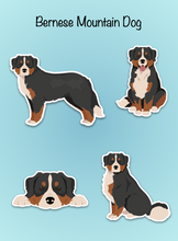 Load image into Gallery viewer, Bernese Mountain Dog Vinyl Sticker Set