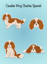 Load image into Gallery viewer, Cavalier King Charles Spaniel Vinyl Sticker Set