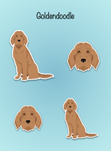 Load image into Gallery viewer, Goldendoodle (Golden Retriever/Poodle mix) Vinyl Sticker Set