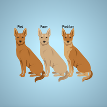 Load image into Gallery viewer, Carolina Dog Bezel Keychain - personalized