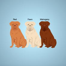 Load image into Gallery viewer, Dogue de Bordeaux 'My Dog is My Valentine' 100% cotton t-shirt customized