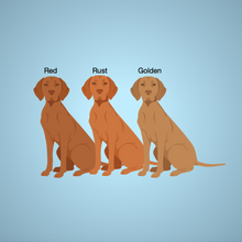 Load image into Gallery viewer, Vizsla 'My Dog is My Valentine' 100% cotton t-shirt customized