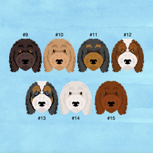 Load image into Gallery viewer, Aussiedoodle (Australian Shepherd/Poodle mix) ID Pet Tag