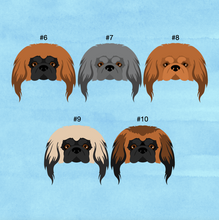 Load image into Gallery viewer, Pekingese ID Pet Tag