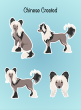 Load image into Gallery viewer, Chinese Crested Vinyl Sticker Set