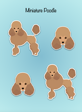 Load image into Gallery viewer, Miniature Poodle Vinyl Sticker Set