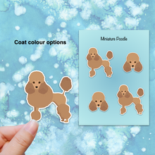 Load image into Gallery viewer, Miniature Poodle Vinyl Sticker Set