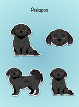 Load image into Gallery viewer, Peekapoo (Pekingese/Poodle mix) Vinyl Sticker Set