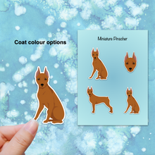 Load image into Gallery viewer, Miniature Pinscher (cropped ears docked tail) Vinyl Sticker Set