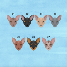 Load image into Gallery viewer, Xoloitzcuintle ID Pet Tag