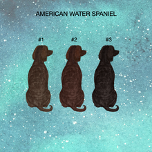 Load image into Gallery viewer, American Water Spaniel Northern Lights Ornament
