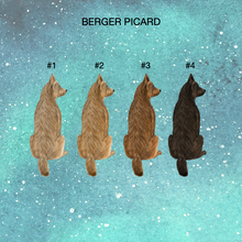 Load image into Gallery viewer, Berger Picard Northern Lights Ornament