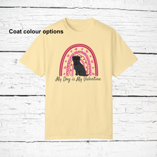 Load image into Gallery viewer, Affenpinscher 'My Dog is My Valentine' 100% cotton t-shirt customized