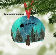 Load image into Gallery viewer, American Water Spaniel Northern Lights Ornament