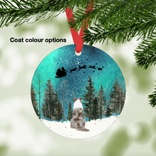 Load image into Gallery viewer, Australian Shepherd Northern Lights Ornament