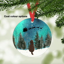 Load image into Gallery viewer, Barbet Northern Lights Ornament