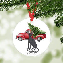 Load image into Gallery viewer, Peruvian Hairless ornament personalized