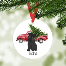 Load image into Gallery viewer, Brussels Griffon ornament personalized