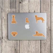 Load image into Gallery viewer, Chesapeake Bay Retriever Vinyl Stickers Set
