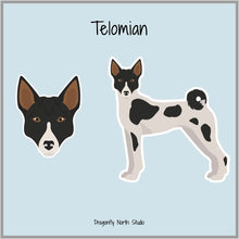 Load image into Gallery viewer, Telomian Vinyl Sticker Set