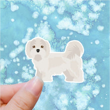 Load image into Gallery viewer, Kyi-Leo Vinyl Sticker Set