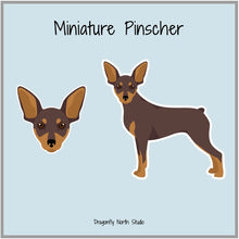 Load image into Gallery viewer, Miniature Pinscher (docked tail) Vinyl Sticker Set