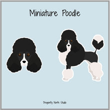 Load image into Gallery viewer, Miniature Poodle (Parti) Vinyl Sticker Set