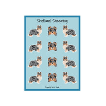 Load image into Gallery viewer, Shetland Sheepdog Vinyl Sticker Sheet
