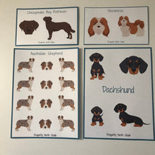 Load image into Gallery viewer, Chihuahua vinyl stickers