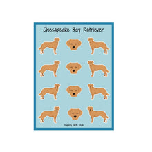 Load image into Gallery viewer, Chesapeake Bay Retriever Vinyl Sticker Sheet