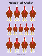 Load image into Gallery viewer, Naked Neck chicken vinyl sticker sheet