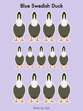 Load image into Gallery viewer, Blue Swedish duck vinyl sticker sheet