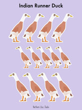Load image into Gallery viewer, Indian Runner duck vinyl sticker sheet