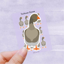 Load image into Gallery viewer, Toulouse Goose vinyl sticker sheet