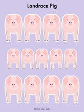 Load image into Gallery viewer, Landrace Pig vinyl sticker sheet