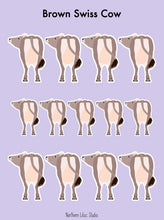 Load image into Gallery viewer, Brown Swiss Cow vinyl sticker sheet