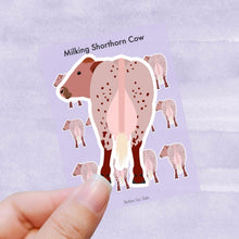 Load image into Gallery viewer, Milking Shorthorn Cow vinyl sticker sheet