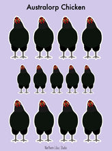 Load image into Gallery viewer, Australorp chicken vinyl sticker sheet