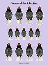 Load image into Gallery viewer, Barnevelder chicken vinyl sticker sheet