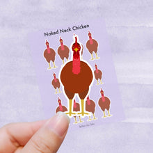 Load image into Gallery viewer, Naked Neck chicken vinyl sticker sheet