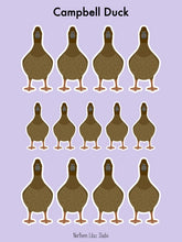 Load image into Gallery viewer, Campbell duck vinyl sticker sheet