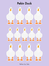 Load image into Gallery viewer, Pekin duck vinyl sticker sheet
