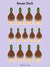 Load image into Gallery viewer, Rouen duck vinyl sticker sheet
