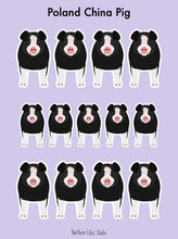 Load image into Gallery viewer, Poland China Pig vinyl sticker sheet