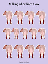 Load image into Gallery viewer, Milking Shorthorn Cow vinyl sticker sheet