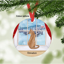Load image into Gallery viewer, Abyssinian Cat ornament personalized