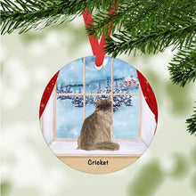 Load image into Gallery viewer, Ragamuffin Cat ornament personalized