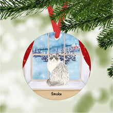 Load image into Gallery viewer, Ragdoll Cat ornament personalized