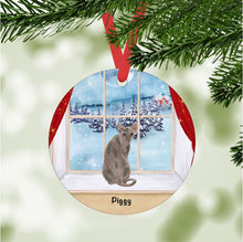 Load image into Gallery viewer, Sphynx Cat ornament personalized