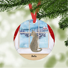 Load image into Gallery viewer, Abyssinian Cat ornament personalized